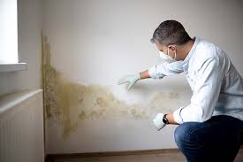 Mold Documentation for Insurance Claims in Weston, NJ